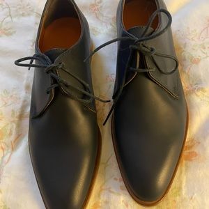 Everlane blue pointed Oxford/dress shoes. INCREDIBLE condition. Dark blue